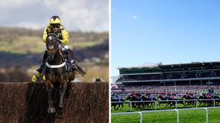 Shishkin and Mighty Potter set to star on Day Three of the Cheltenham Festival 2023